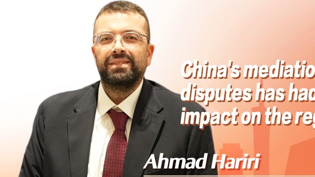 China and Lebanon can advance Middle East peace through development: Future Movement SG