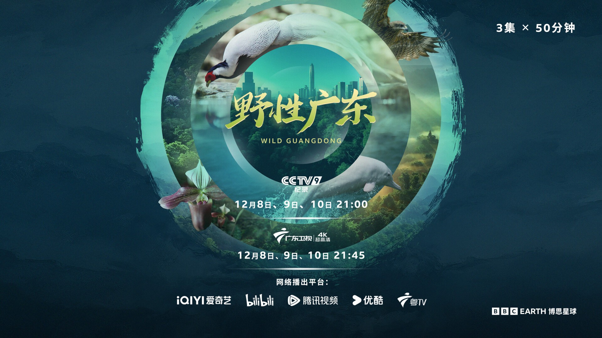 BBC's nature documentary "Wild Guangdong" premieres worldwide on December 7