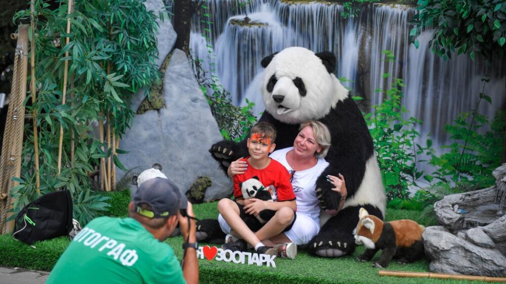 Giant panda Dingding's eighth birthday celebrated at Moscow Zoo