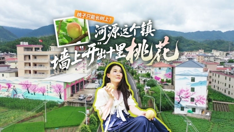 桃子只能长树上？河源这个镇，墙上“开”出十里桃花｜粤来粤好百千万