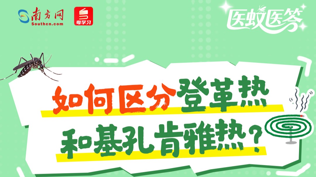 医蚊医答｜得了基孔肯雅热怎么办？治疗指南话你知