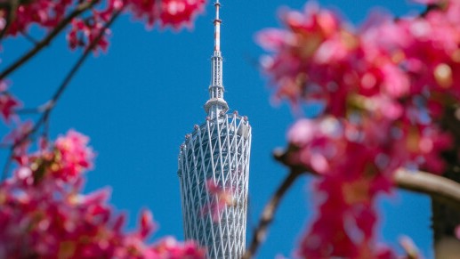 Defying the cold: Guangzhou basks in spring-like radiance