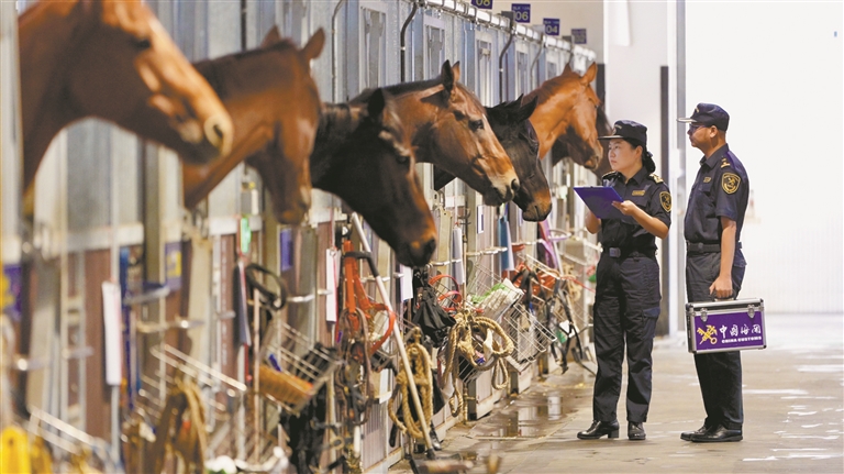 马脸识别、可回收跑道藏玄机！广州十五运会科技彩蛋揭秘