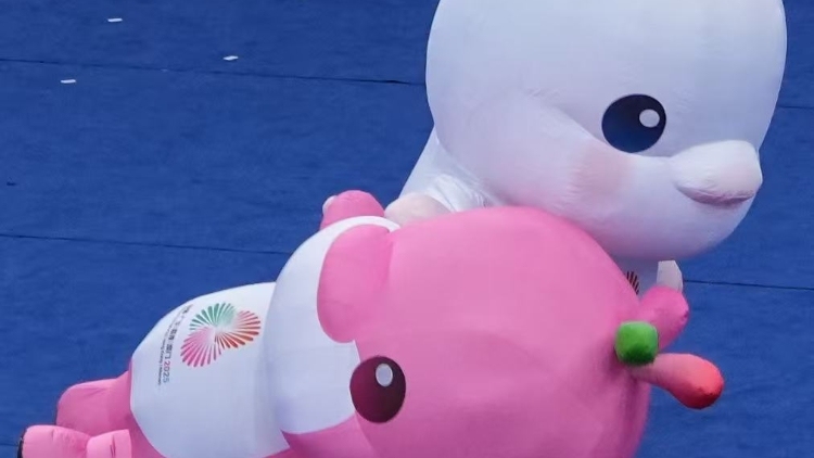 功夫吉祥物喜洋洋VS乐融融，扮演者有话要说