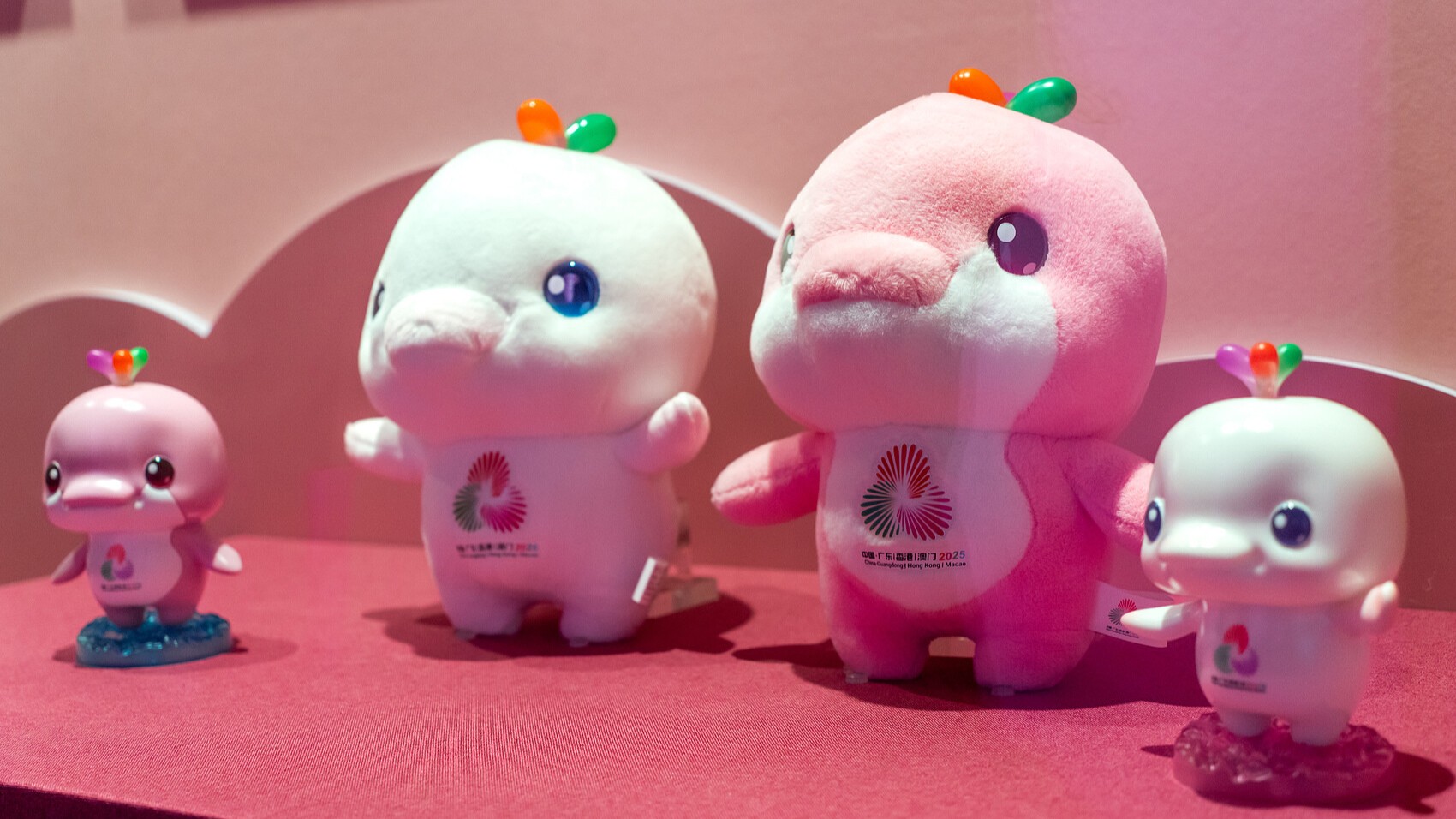 一“豚”难求！全网都在“养”的这两只海豚，究竟什么来头？