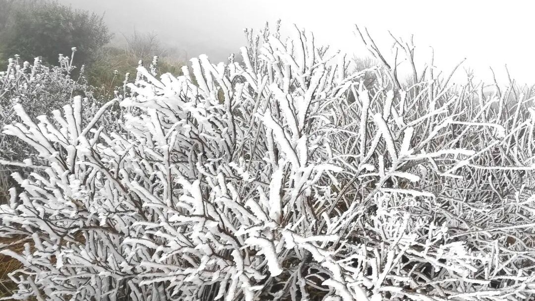 First icicles of winter 2025 seen in Qingyuan Jinzi Mountain