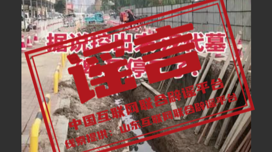 今日辟谣（2025年11月19日）