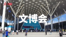 人形机器人、载人飞碟、数字人玩偶……一起探馆文博会 人形机器人、载人飞碟、数字人玩偶……一起探馆文博会