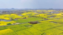 2025年,中国农业生产将继续保持向好态势 2025年,中国农业生产将继续保持向好态势