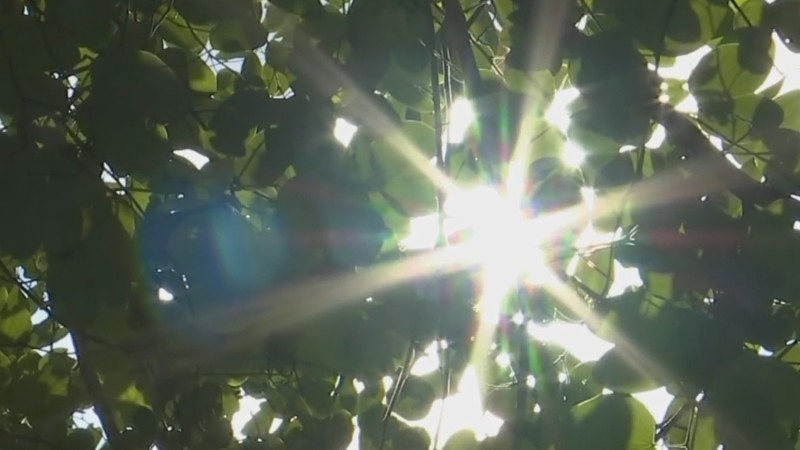 气温缓慢回升！周末天气晴朗，广东全省大部晴到多云