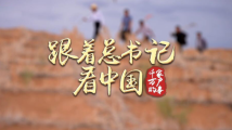 跟着总书记看中国|八步沙的绿色约定 跟着总书记看中国|八步沙的绿色约定
