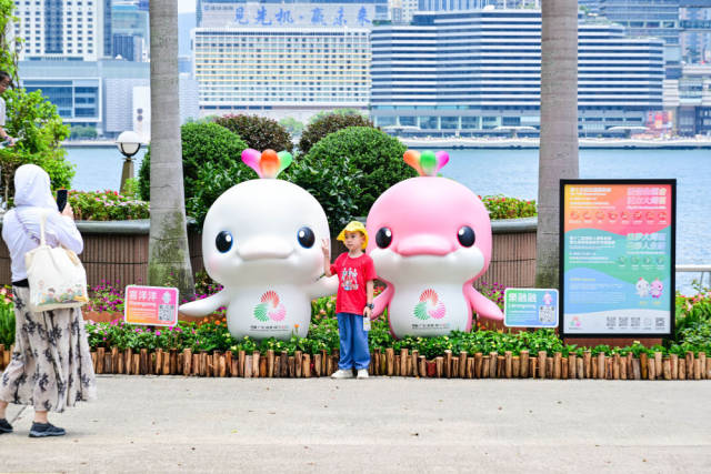 香港金紫荆广场,市民与“喜洋洋”“乐融融”留影。新华社记者 朱炜 摄 香港金紫荆广场,市民与“喜洋洋”“乐融融”留影。新华社记者 朱炜 摄