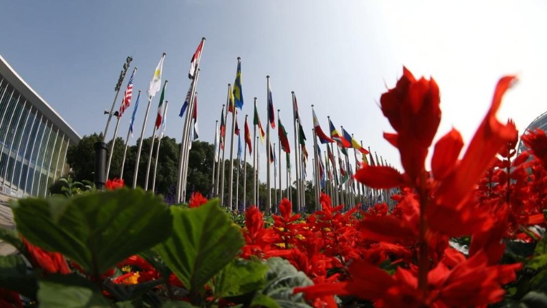 第八届进博会：共享大市场，共创新机遇