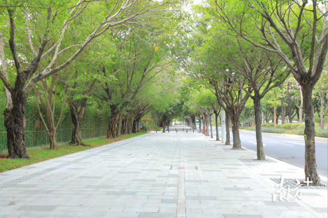 奥体广场人行道。