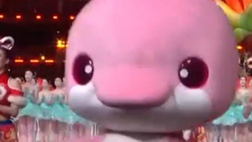 可爱暴击！第十五届全运会开幕式上“喜洋洋”“乐融融”萌力全开