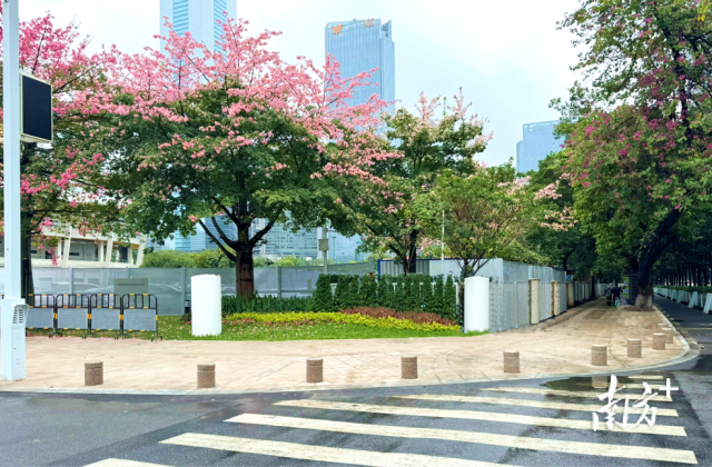 天河体育中心街角。