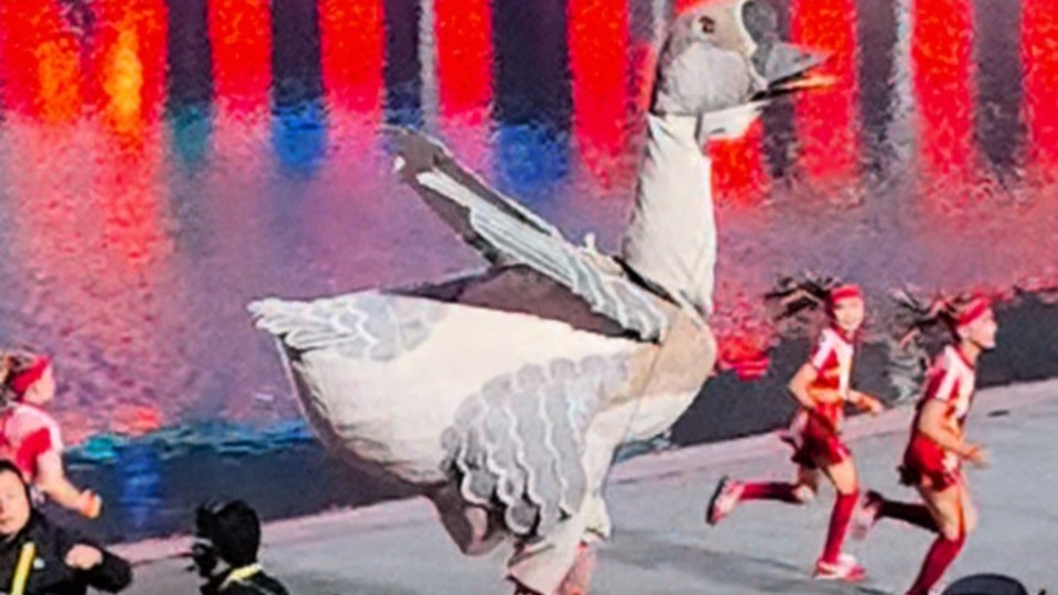 十五运会开幕式现场，惊现两只显眼包狮头鹅！