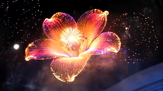 十五运会开幕式电子烟花太惊艳了！木棉花在空中绽放，花瓣纹路清晰可见