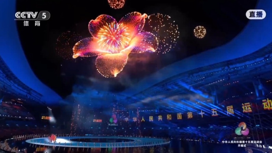 Fireworks light up 15th National Games, Kapok blossoms in the night sky