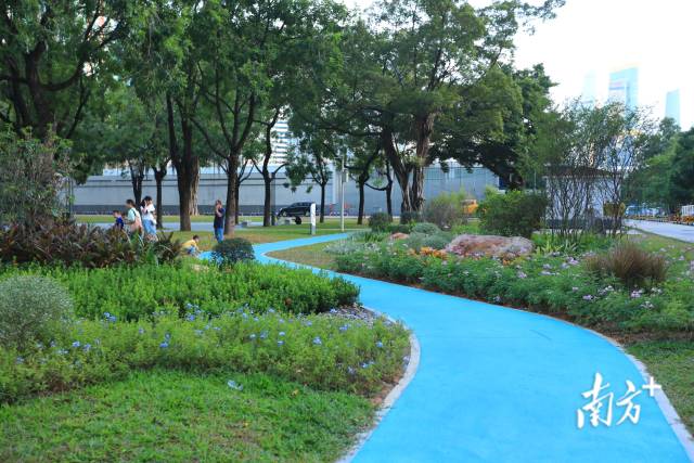 天河体育中心绿化。