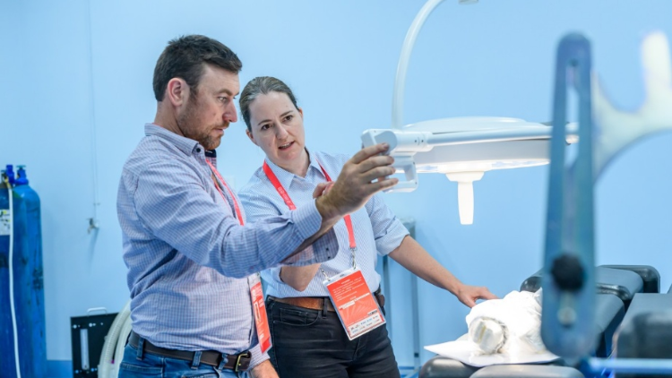 香港赛马会“五个联通”助粤港规则衔接，支援十五运会马术赛事