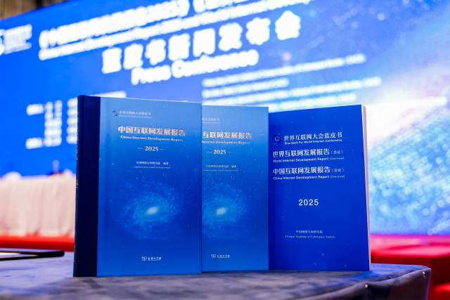 峰会期间发布《中国互联网发展报告2025》等成果文件。图源主办方