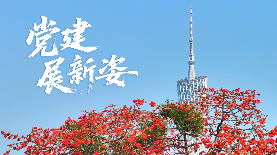 《新时代广东高质量发展》第十二集：党建展新姿