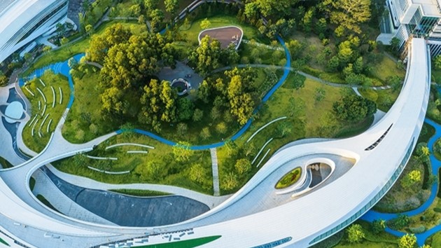 大湾区大学“大”在哪里？