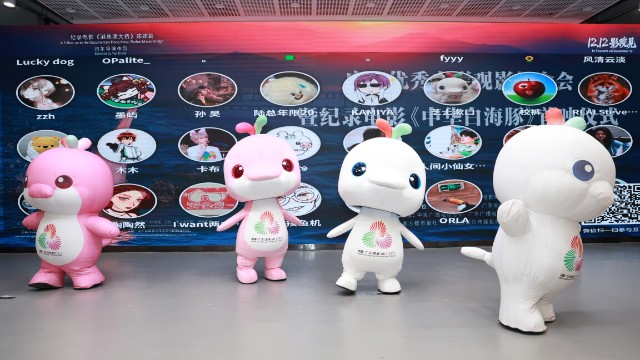 十五运会吉祥物原型将上大银幕！纪录电影《中华白海豚》广州首映