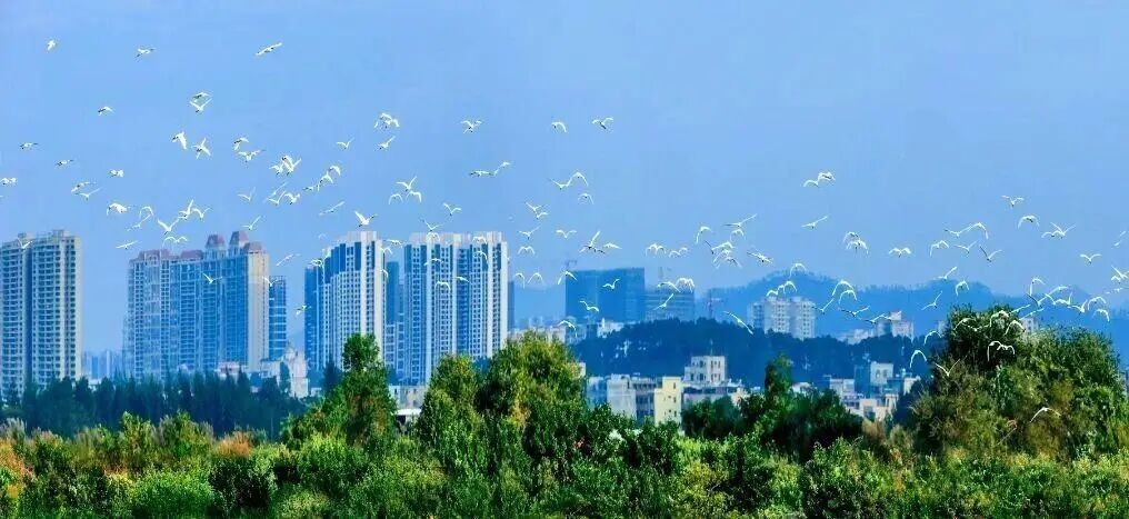 美丽阳江的城市一角。