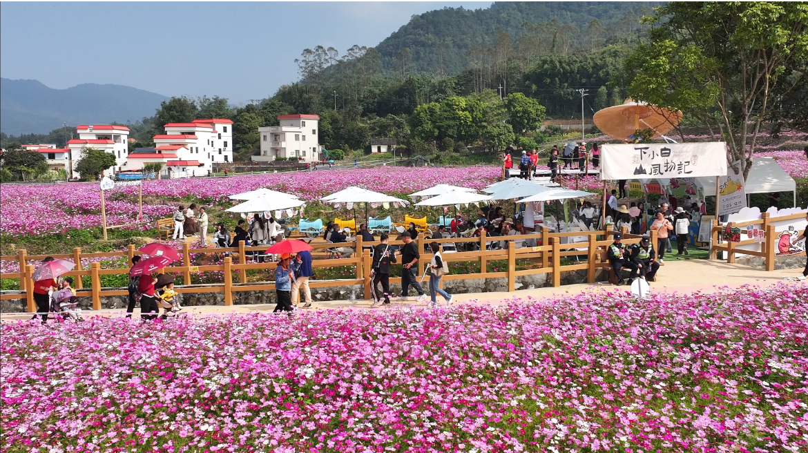 云浮的幸福，藏在“艺起乡见”的烟火里
