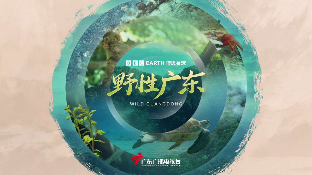 Nature documentary "Wild Guangdong" premieres worldwide on December 7