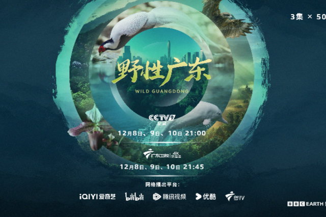 Nature documentary "Wild Guangdong" premieres worldwide on December 7