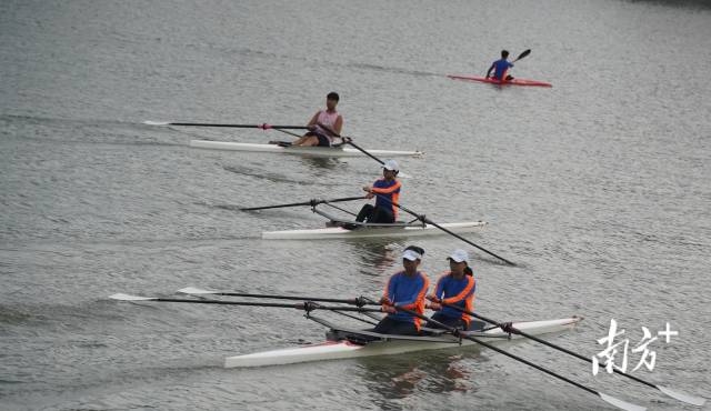 韶关市中心业余体校赛艇队训练中。实习生 彭梓钡 摄