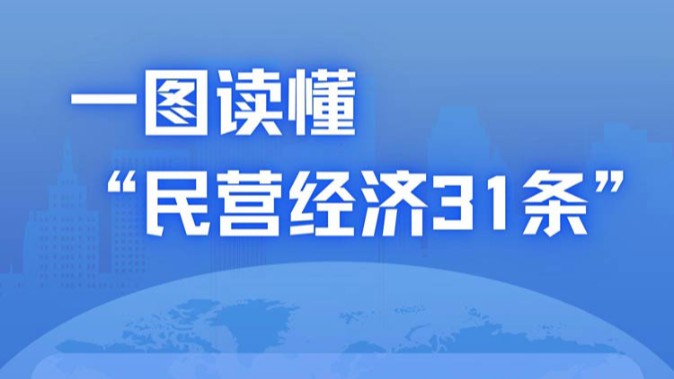 数读中国 | 一图读懂“民营经济31条”