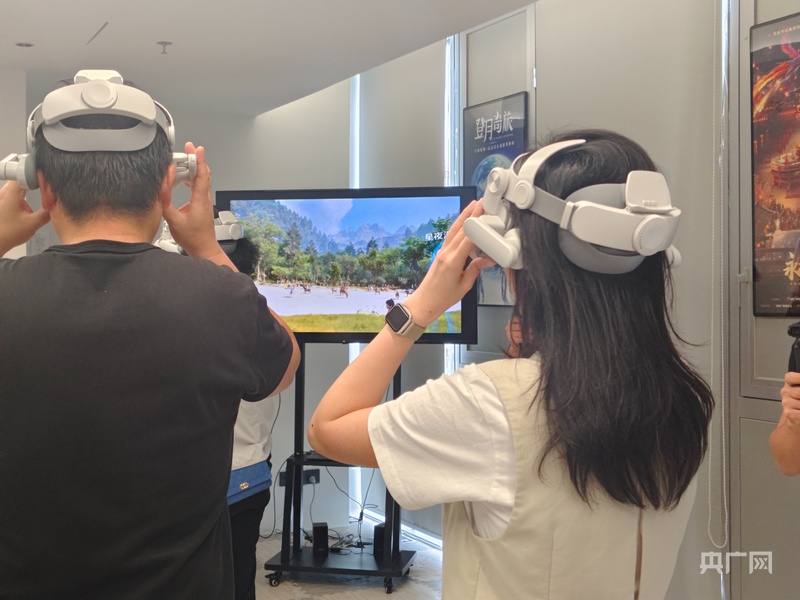VR体验（央广网记者 郑少纯 摄）