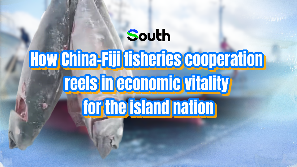 How China-Fiji fisheries cooperation reels in economic vitality for the island nation