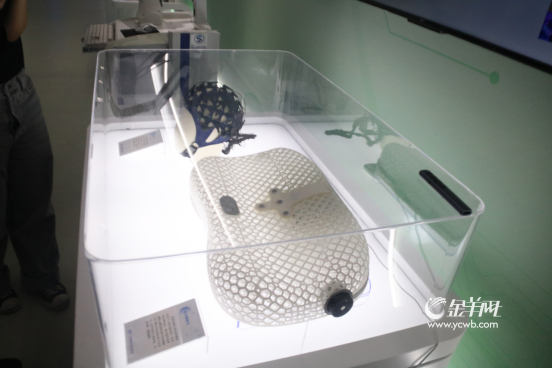 多模态梦境脑机接口设备"梦邻"