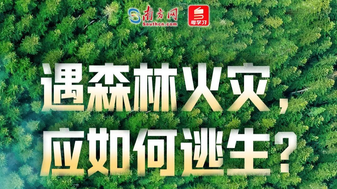 国际减灾日｜广东已进入森林特别防护期，这些防火知识请查收