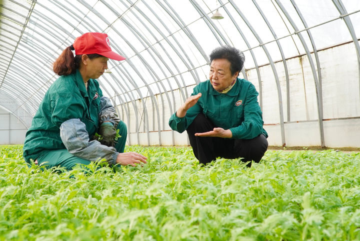 　　2023年2月20日，在山东省曹县五里墩村，王银香（右）在生态农场里与村民交流。新华社记者 徐速绘 摄