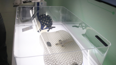 改革开放走在前｜珠海大力培育新兴产业，提供赛事保障惠及社会民生