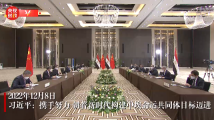 视频丨习近平:携手努力 朝着新时代构建中埃命运共同体目标迈进 视频丨习近平:携手努力 朝着新时代构建中埃命运共同体目标迈进