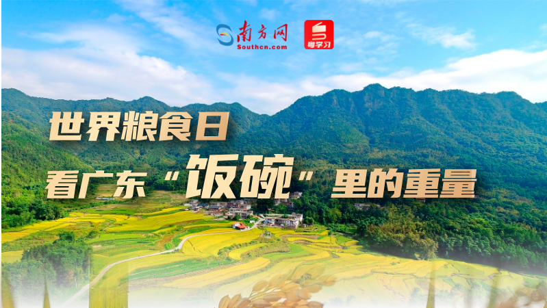 世界粮食日，一组数据看广东“饭碗”里的重量