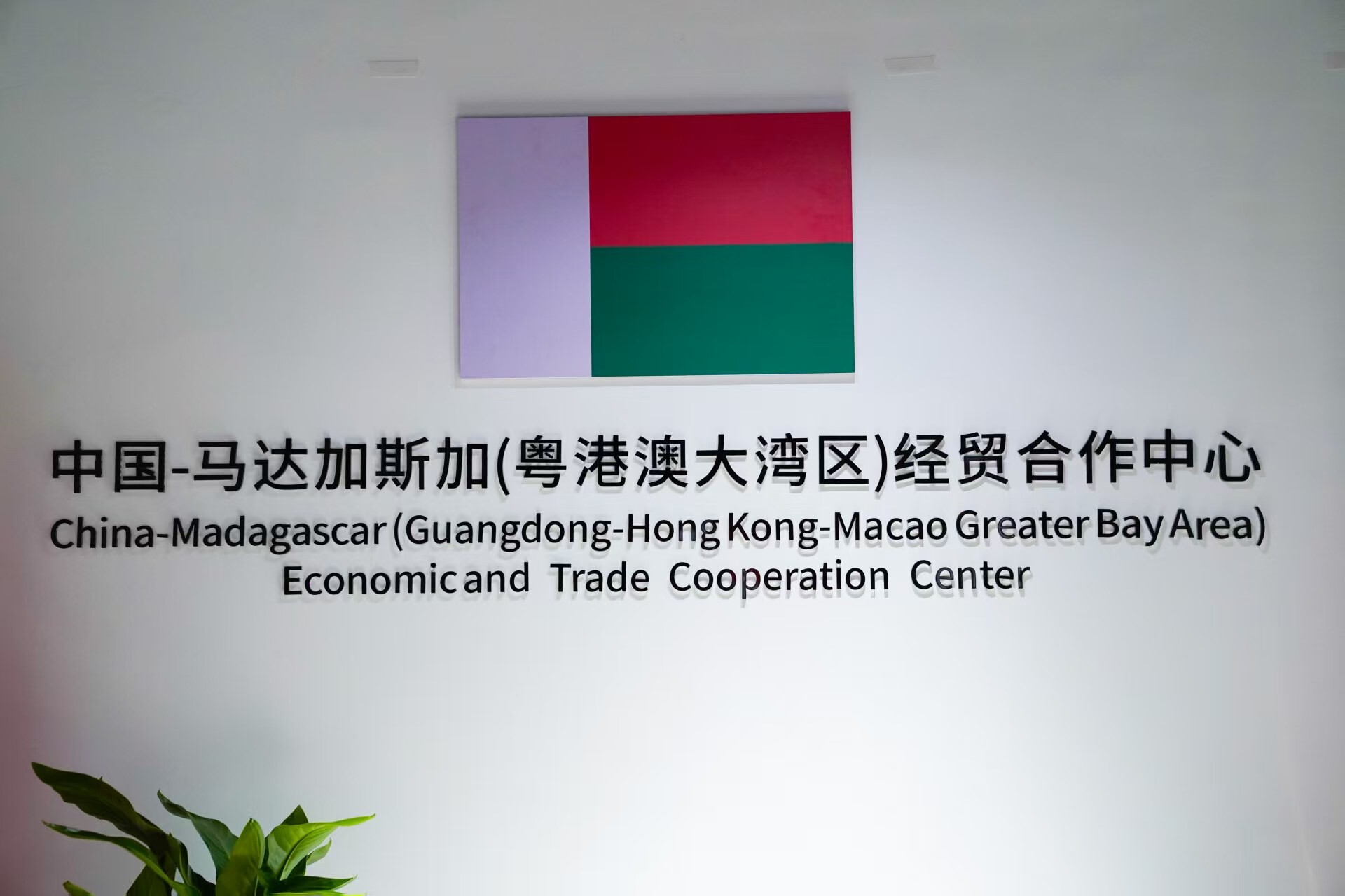   通讯员 王敏杰 供图