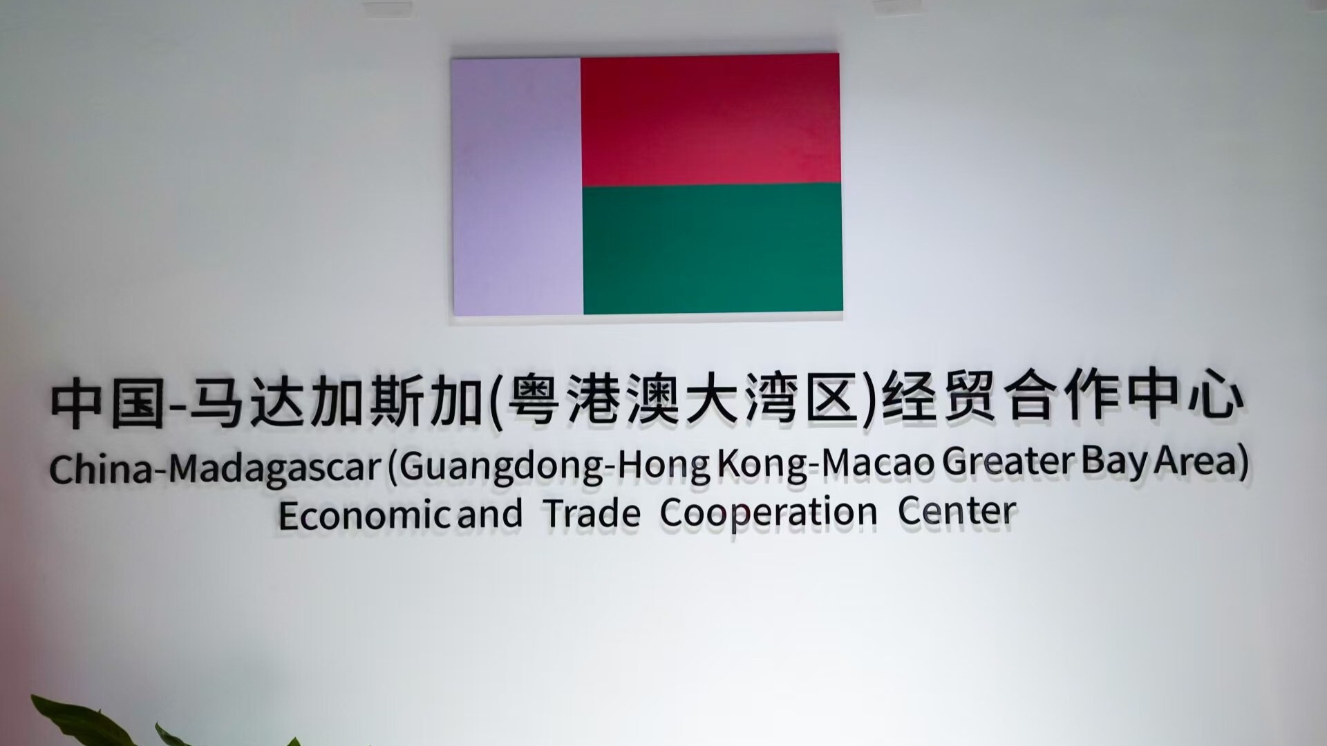 New China-Africa trade hub opens in Guangzhou's Nansha