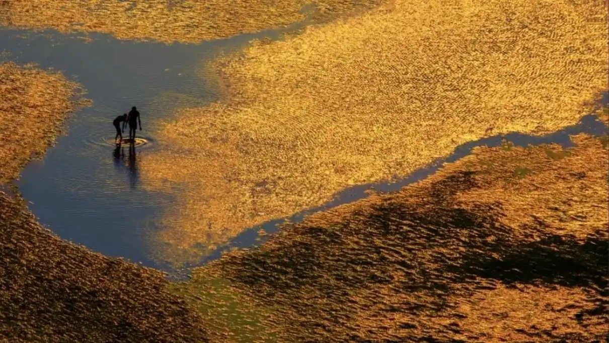 Don't miss this hidden gem route in Maoming during 15th National Games