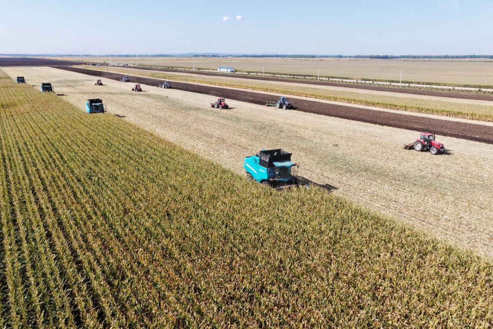 　　2025年9月23日，在位于双鸭山市的黑龙江北大荒农业股份有限公司友谊分公司一旱田地块，大型农业机械在进行玉米收获作业（无人机照片）。新华社记者 王松 摄