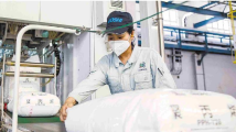 湛江提升开放能级 打造现代化沿海经济带重要发展极 湛江提升开放能级 打造现代化沿海经济带重要发展极