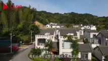 跟着总书记看中国|大湾振兴进行曲 跟着总书记看中国|大湾振兴进行曲