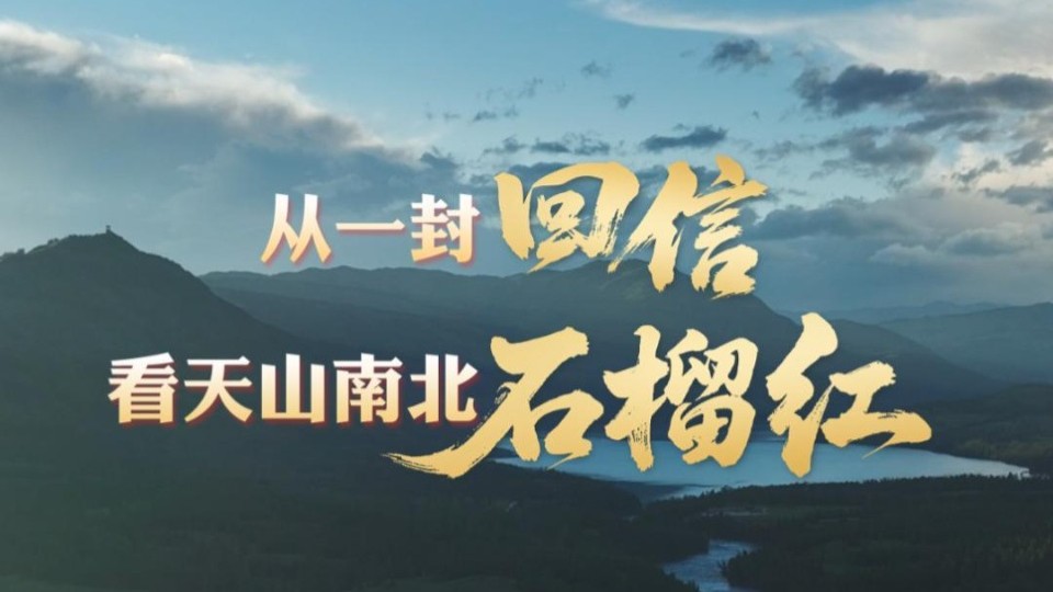 壹视界·微纪录片 | 从一封回信，看天山南北石榴红